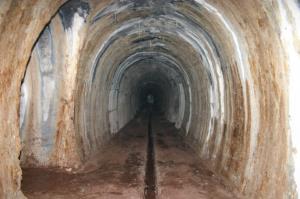 Rupnikova linija in Alpski zid